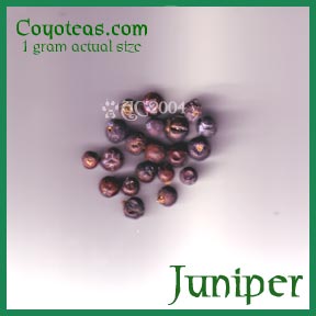 Juniper Berries (1 oz.)